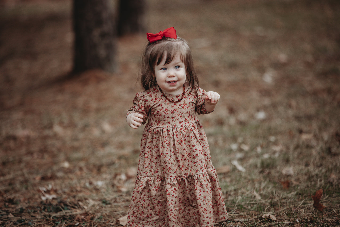 Tearose Tidings ~ Novella Dress
