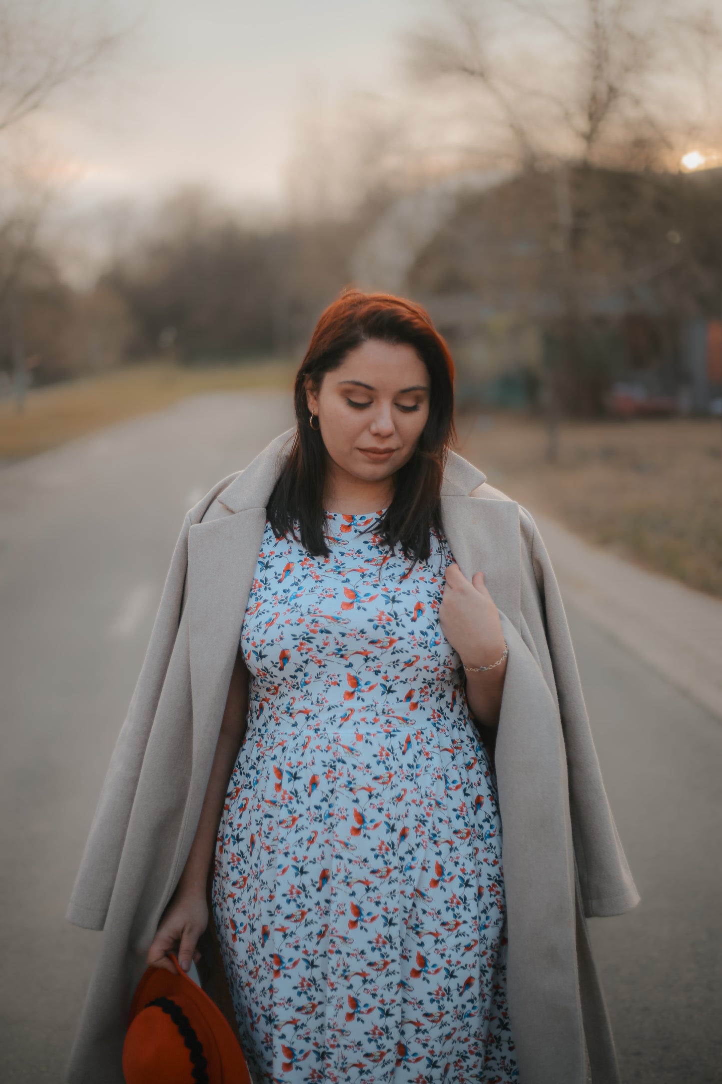 Vintage Sparrow ~ Everyday Dress