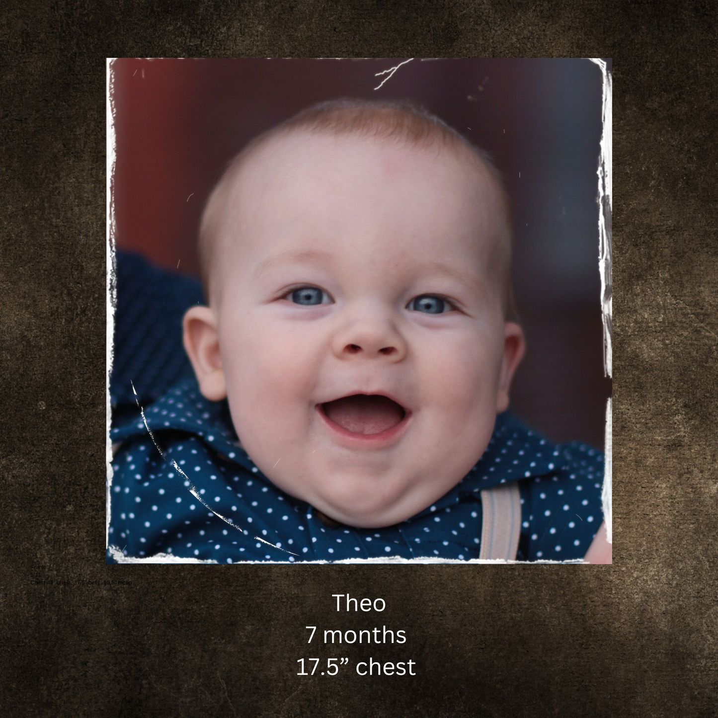 Alouette ~ Perseverance Polo