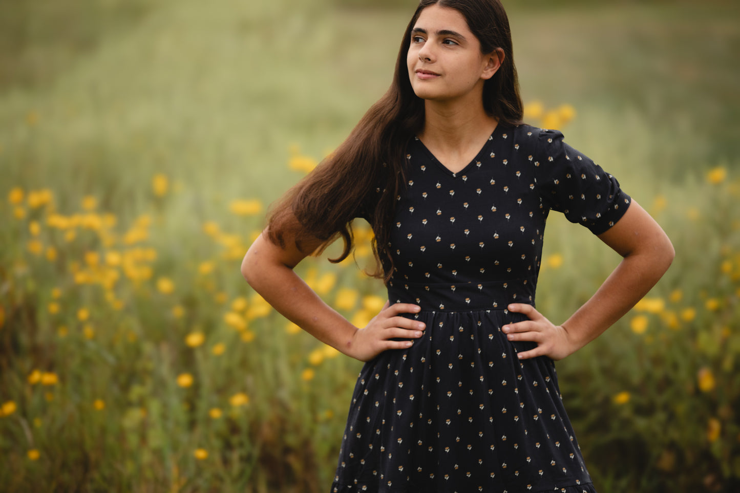 Cinderpetal ~ Storybook Dress