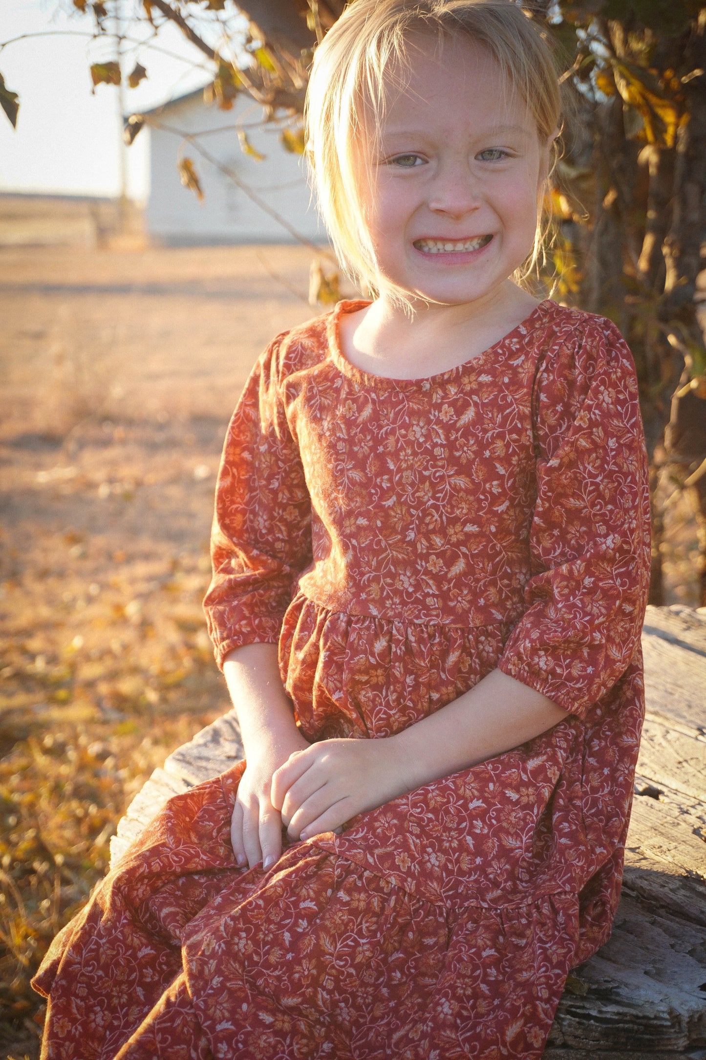 Crimson Ember ~ Novella Dress