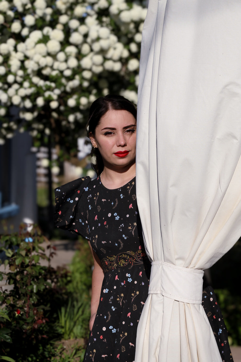Romanian Rhapsody ~ Faye Dress