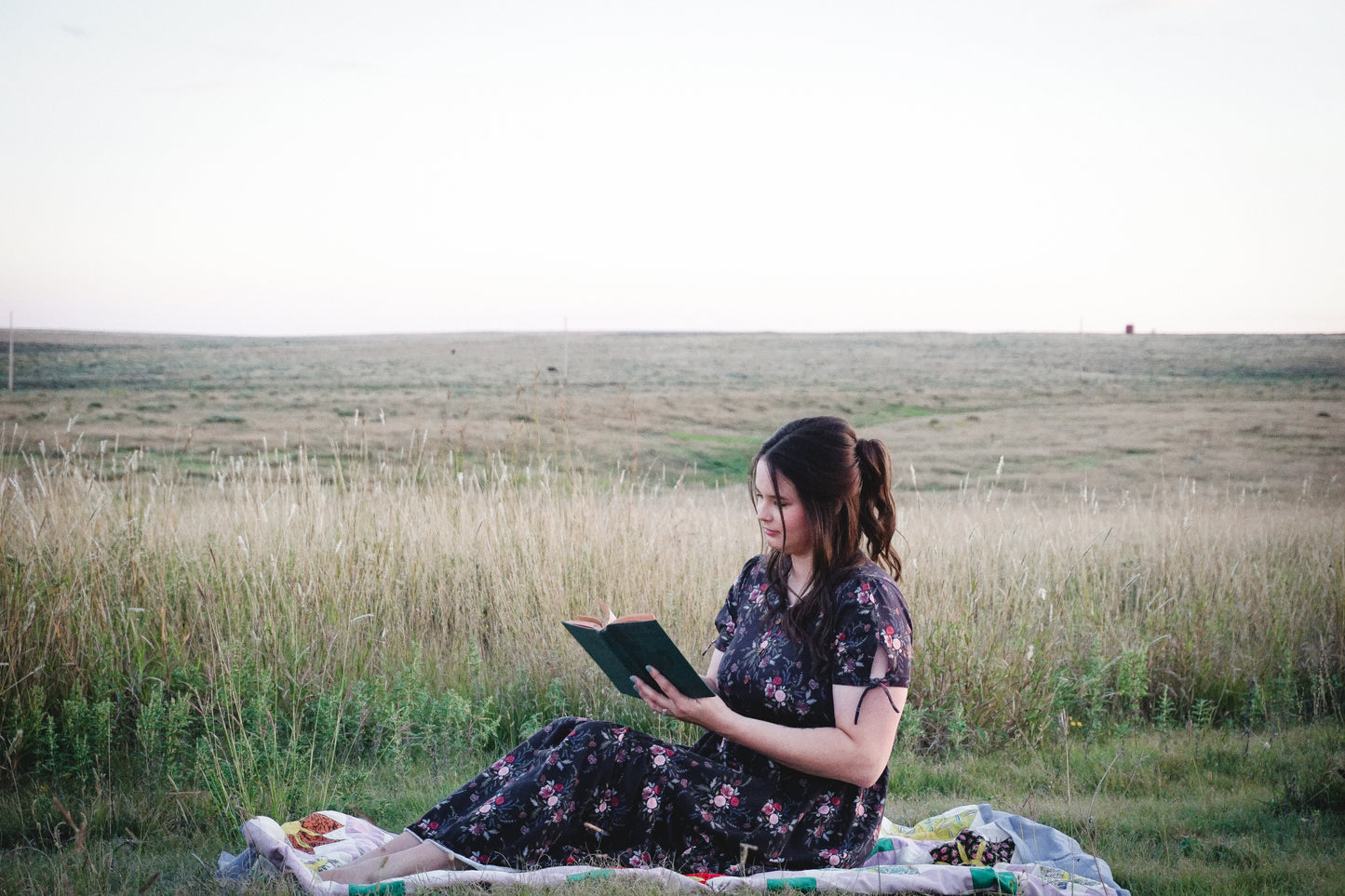 Diana ~ Hinterland Dress