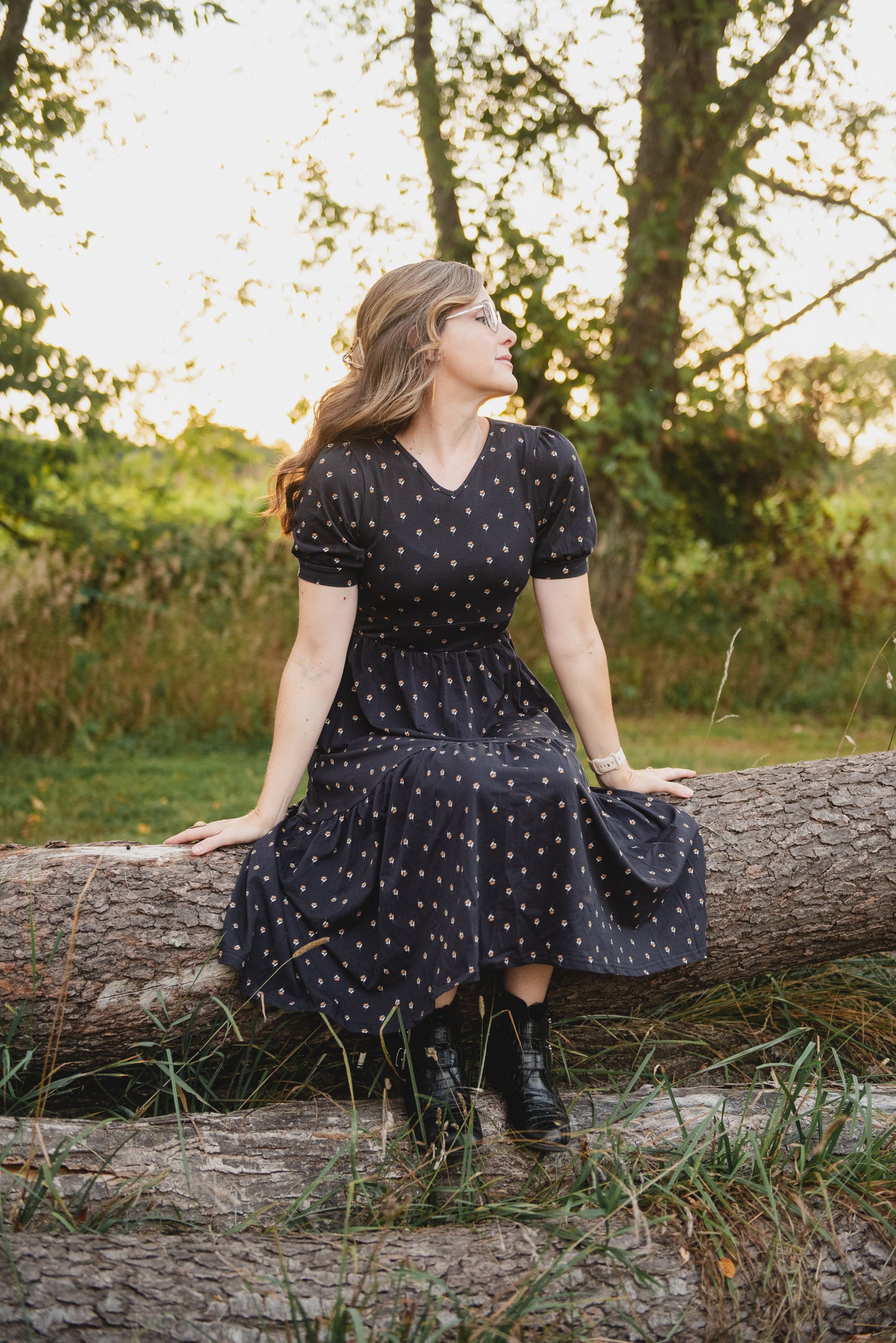 Cinderpetal ~ Storybook Dress