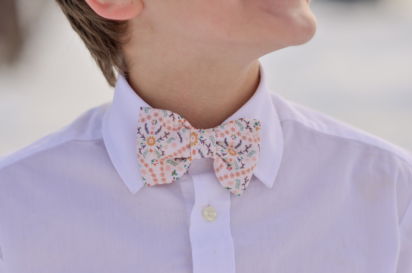 Wistful Waltz ~ Bowties