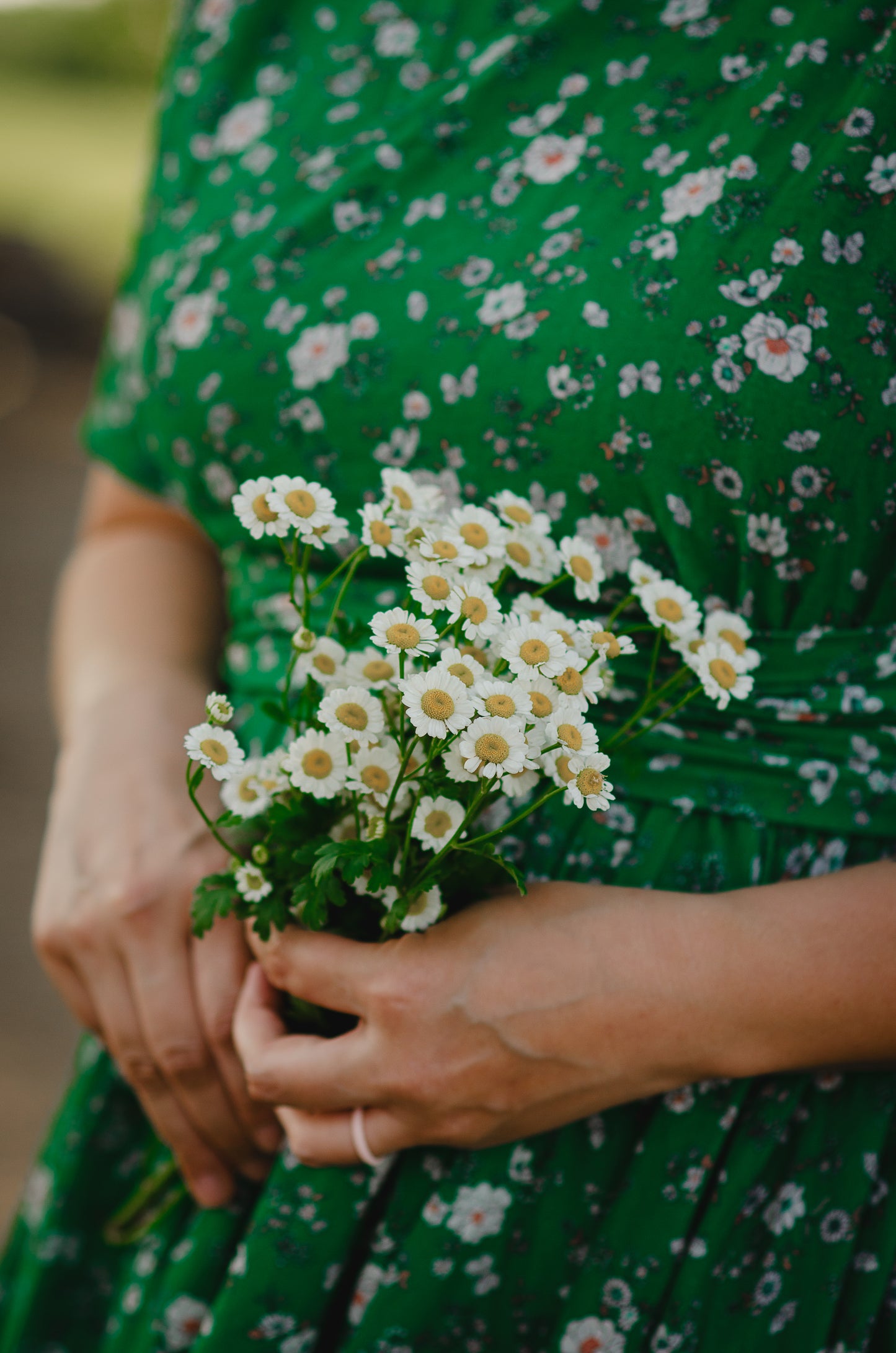 Greenvale Gossamer ~ Wildwood Dress