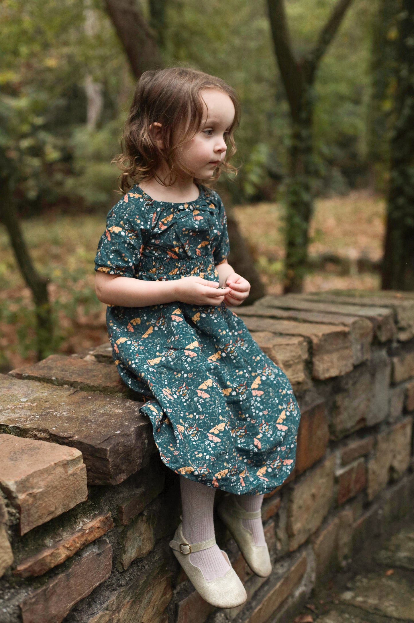Aurelian Arbor ~ Mini Folklore Dress