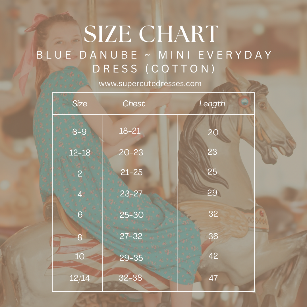 Blue Danube ~ Mini Everyday Dress