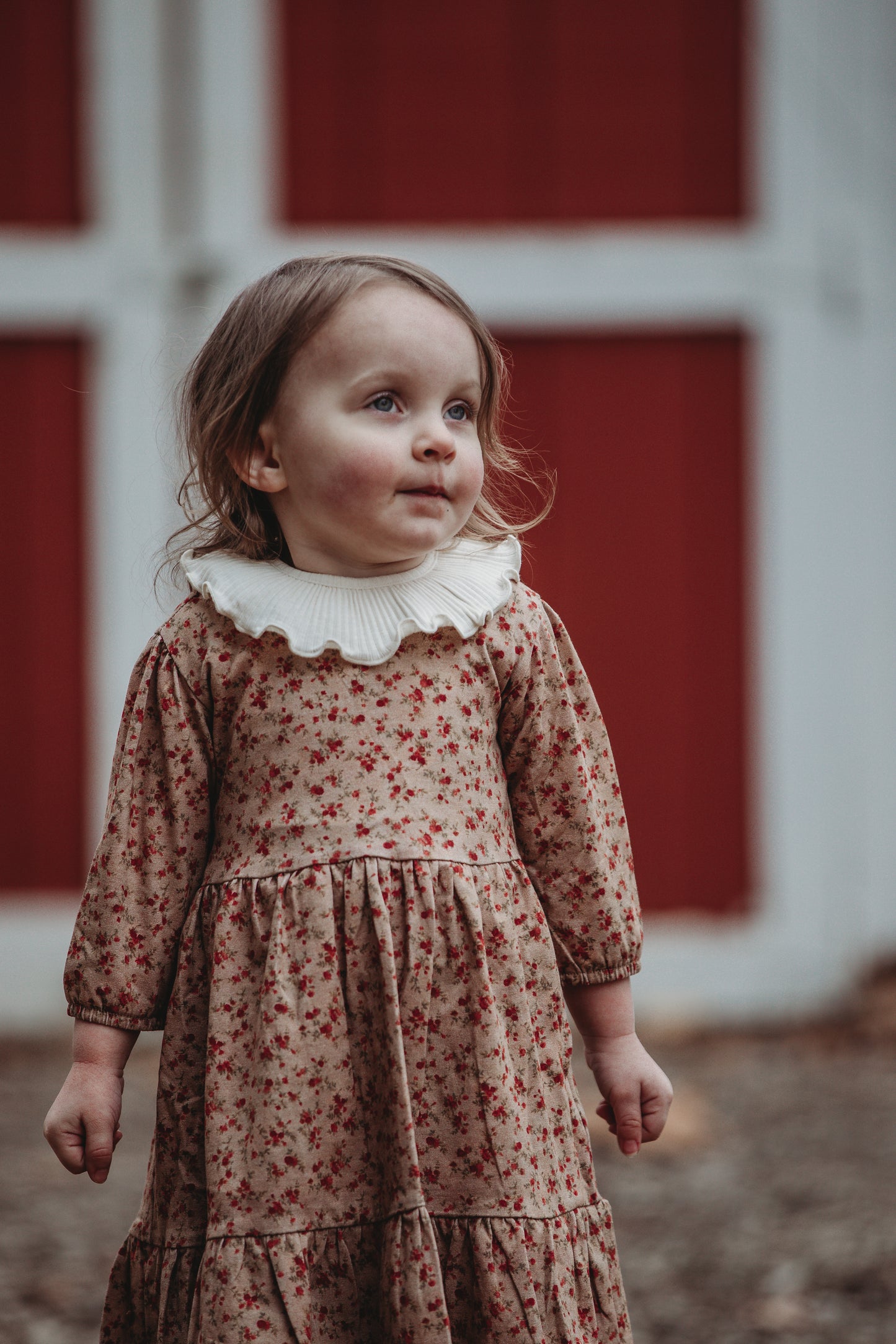 Tearose Tidings ~ Novella Dress