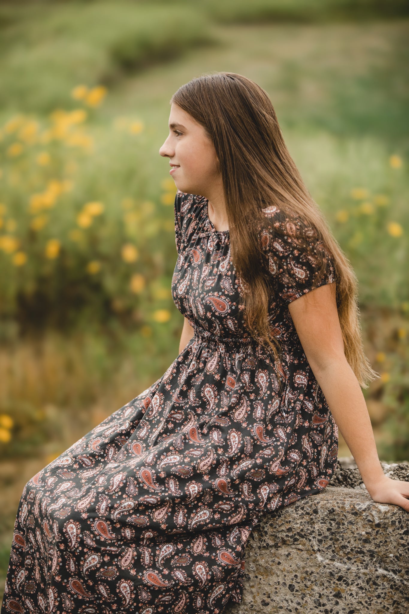 Pine & Paisley ~ Mini Folklore Dress
