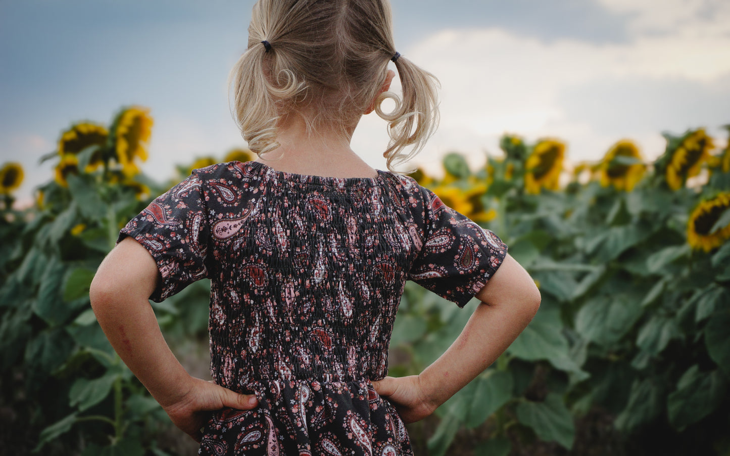 Pine & Paisley ~ Mini Folklore Dress