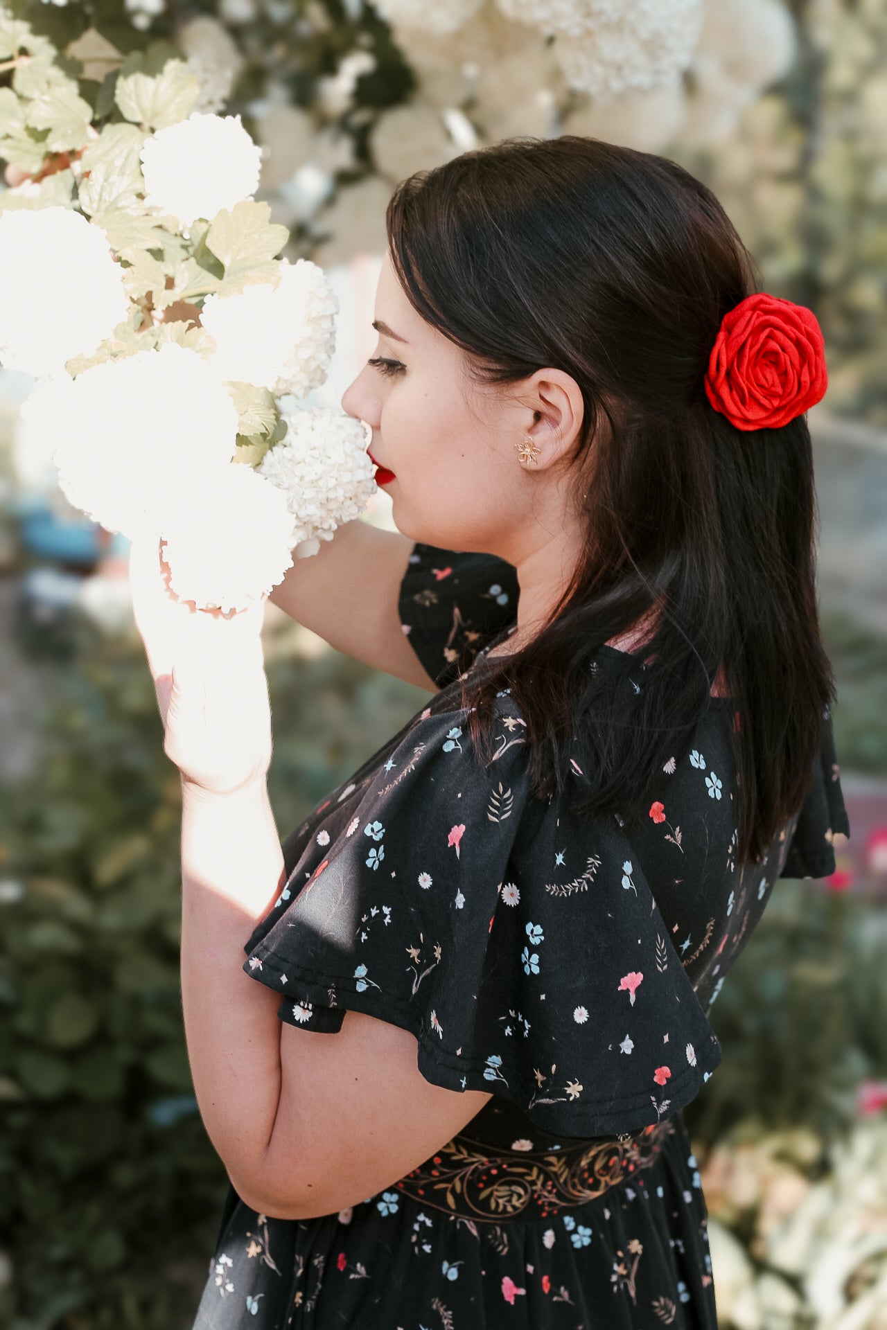 Romanian Rhapsody ~ Faye Dress