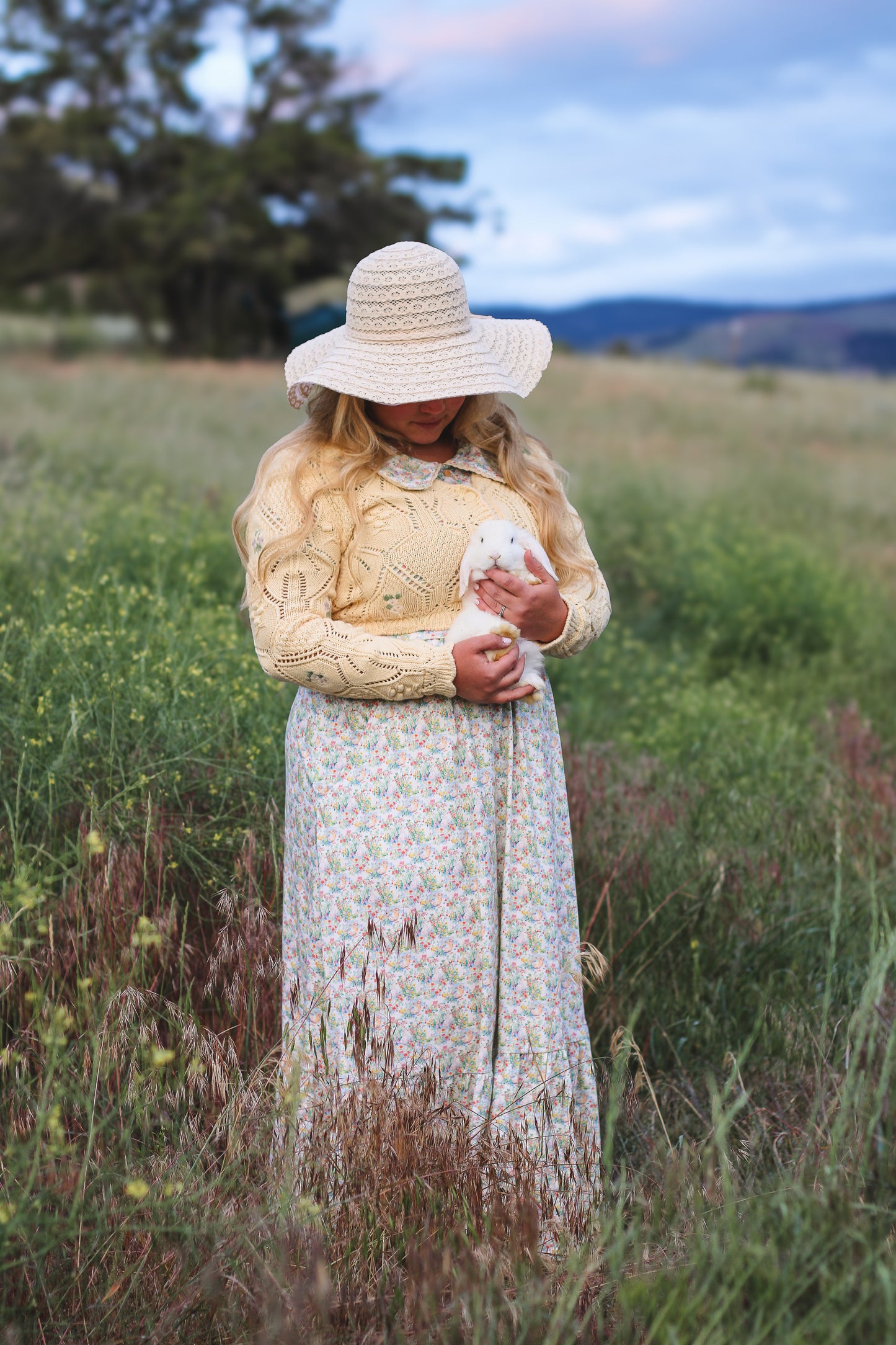Jemima ~ Verity Dress