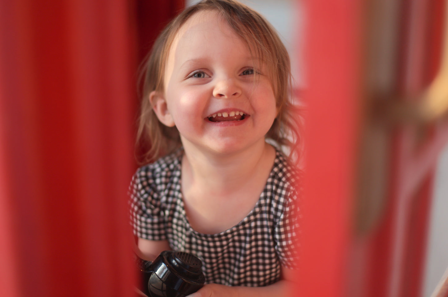 Graphite Gingham ~ Novella Dress