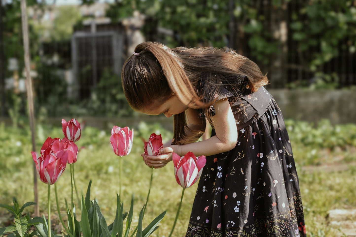Romanian Rhapsody ~ Fairy-twirl Dress