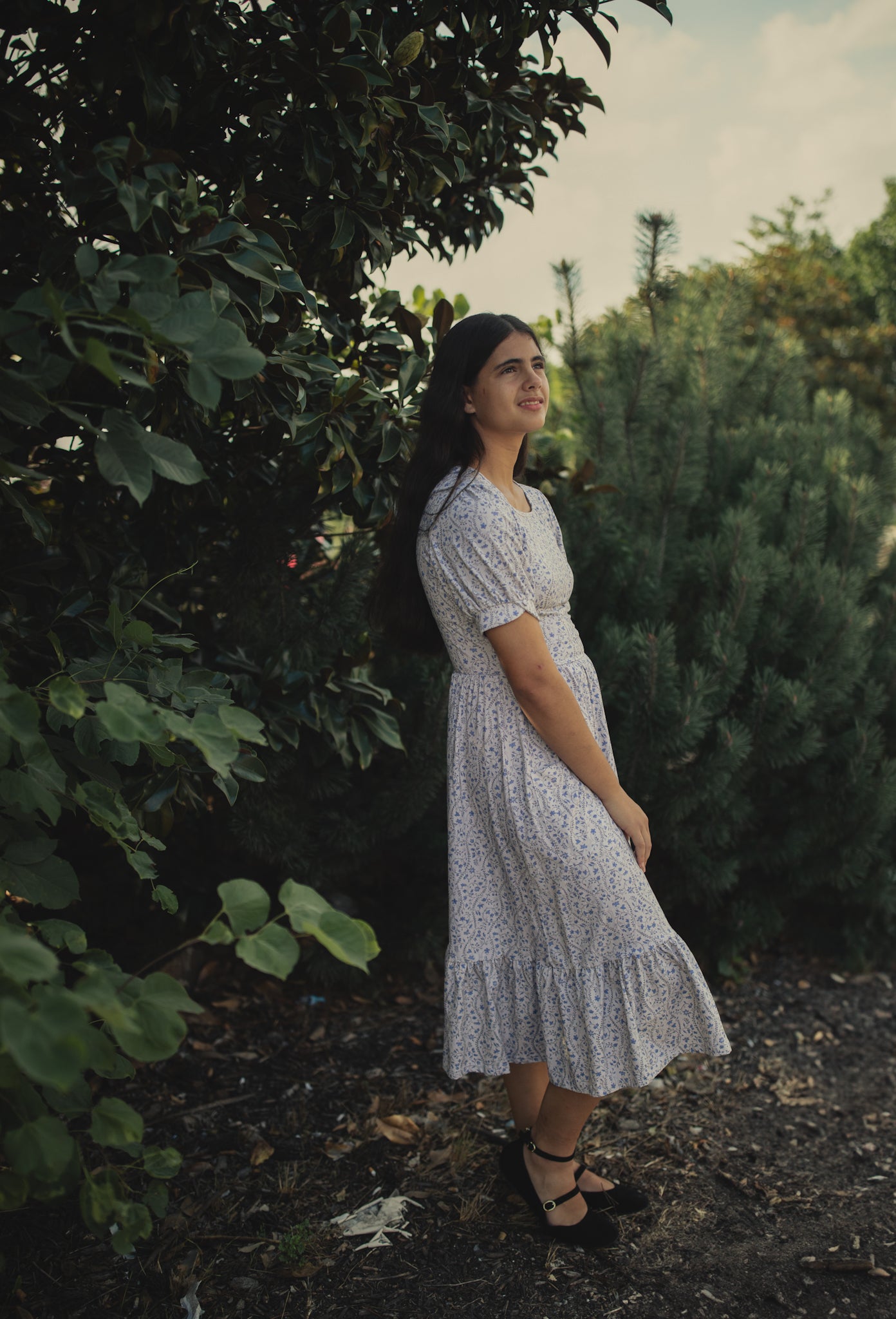 Dovewing Ivy ~ Windermere Dress