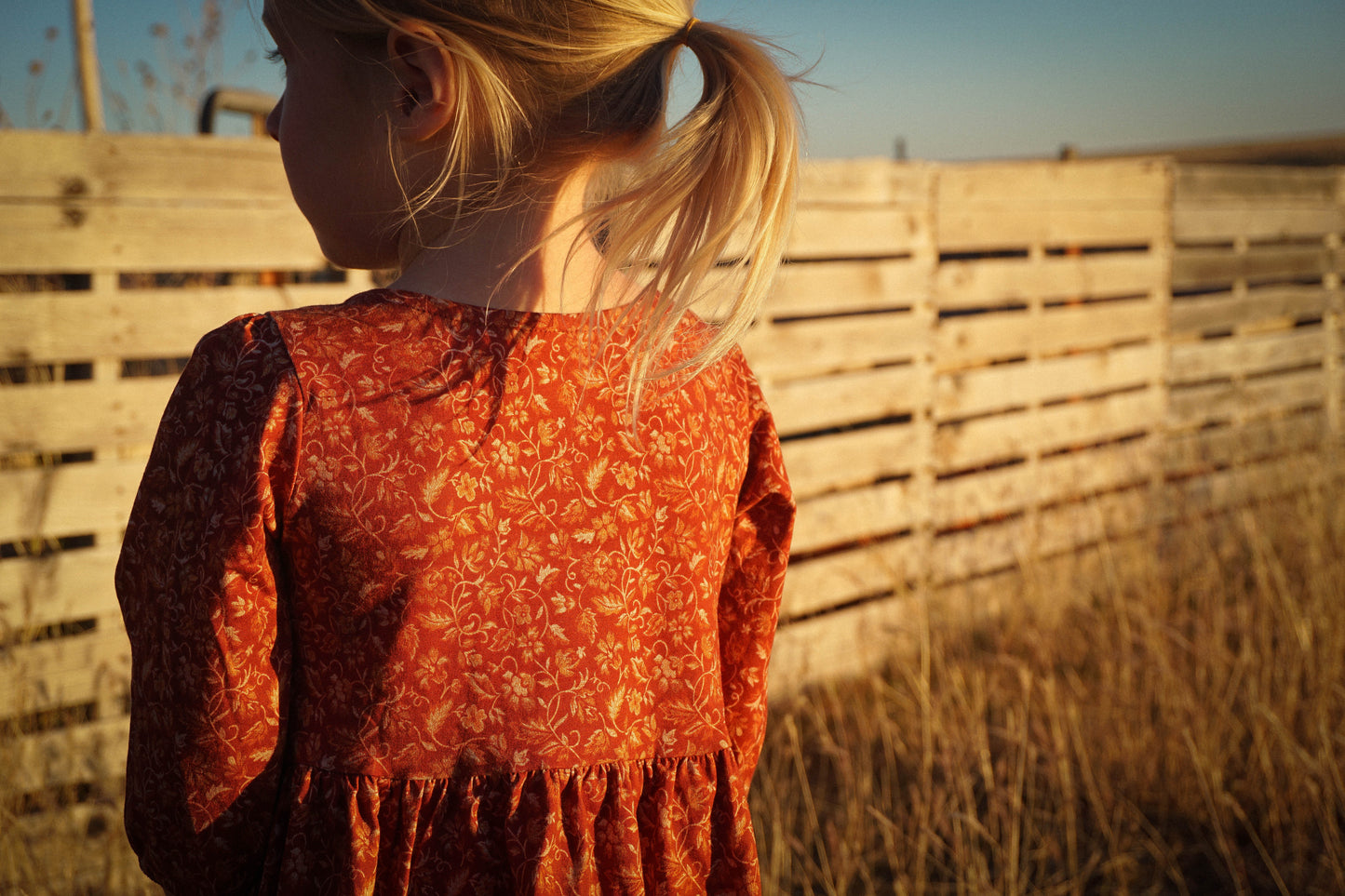 Crimson Ember ~ Novella Dress