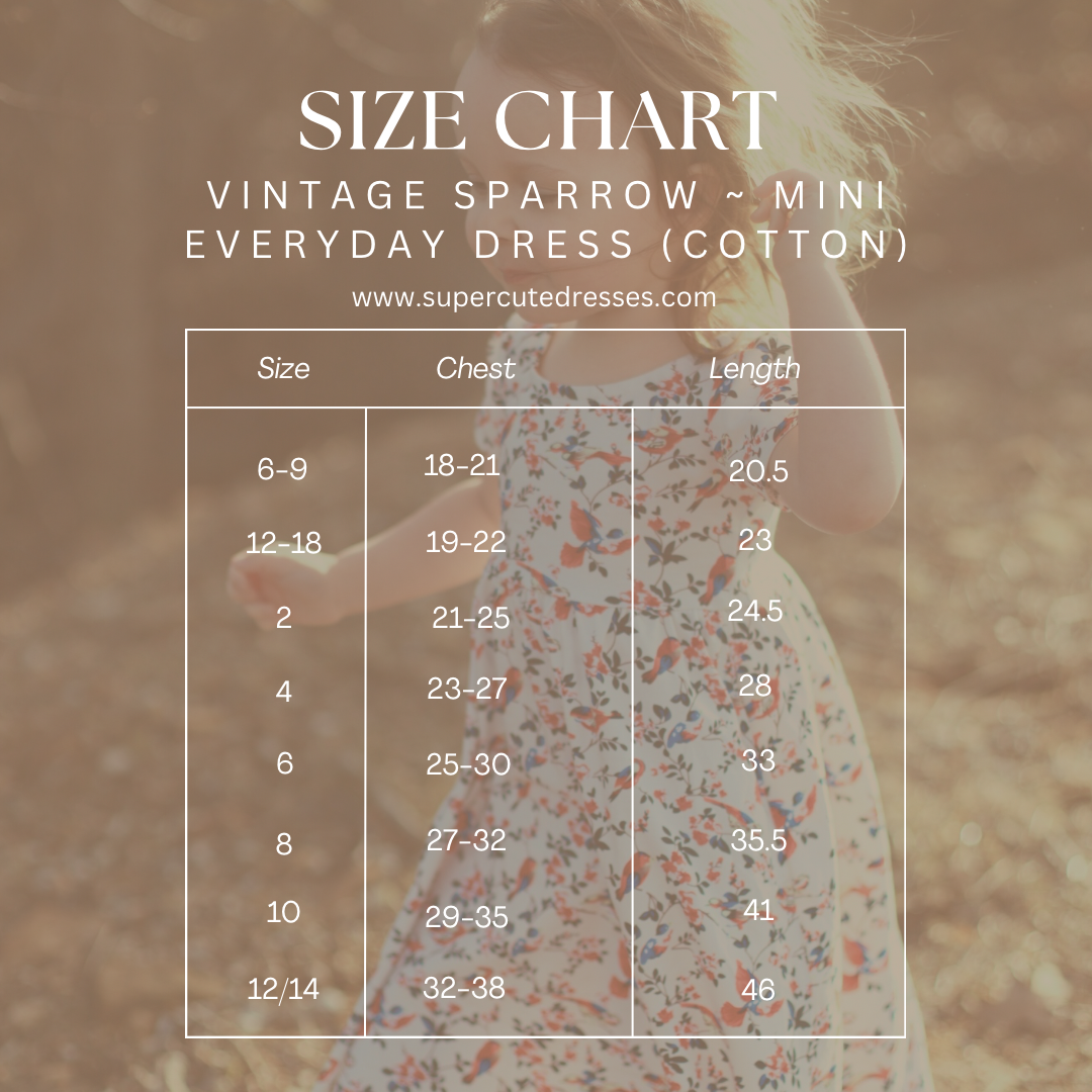 Vintage Sparrow ~ Mini Everyday Dress