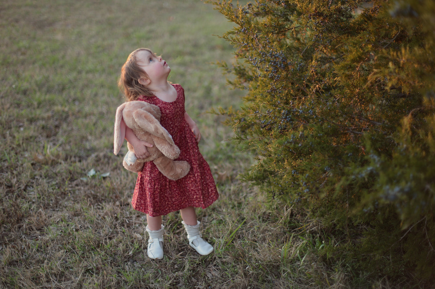 Crimson Ember ~ Novella Dress