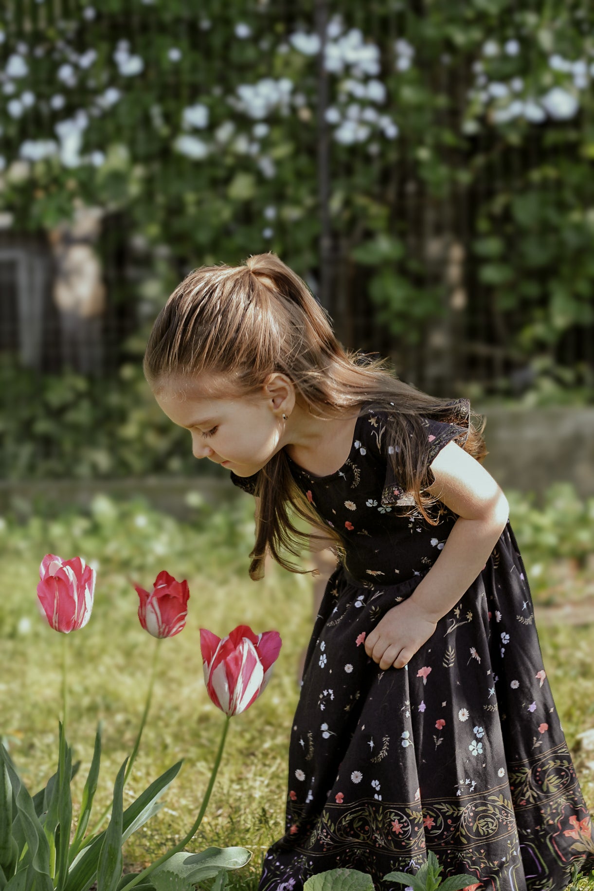 Romanian Rhapsody ~ Fairy-twirl Dress