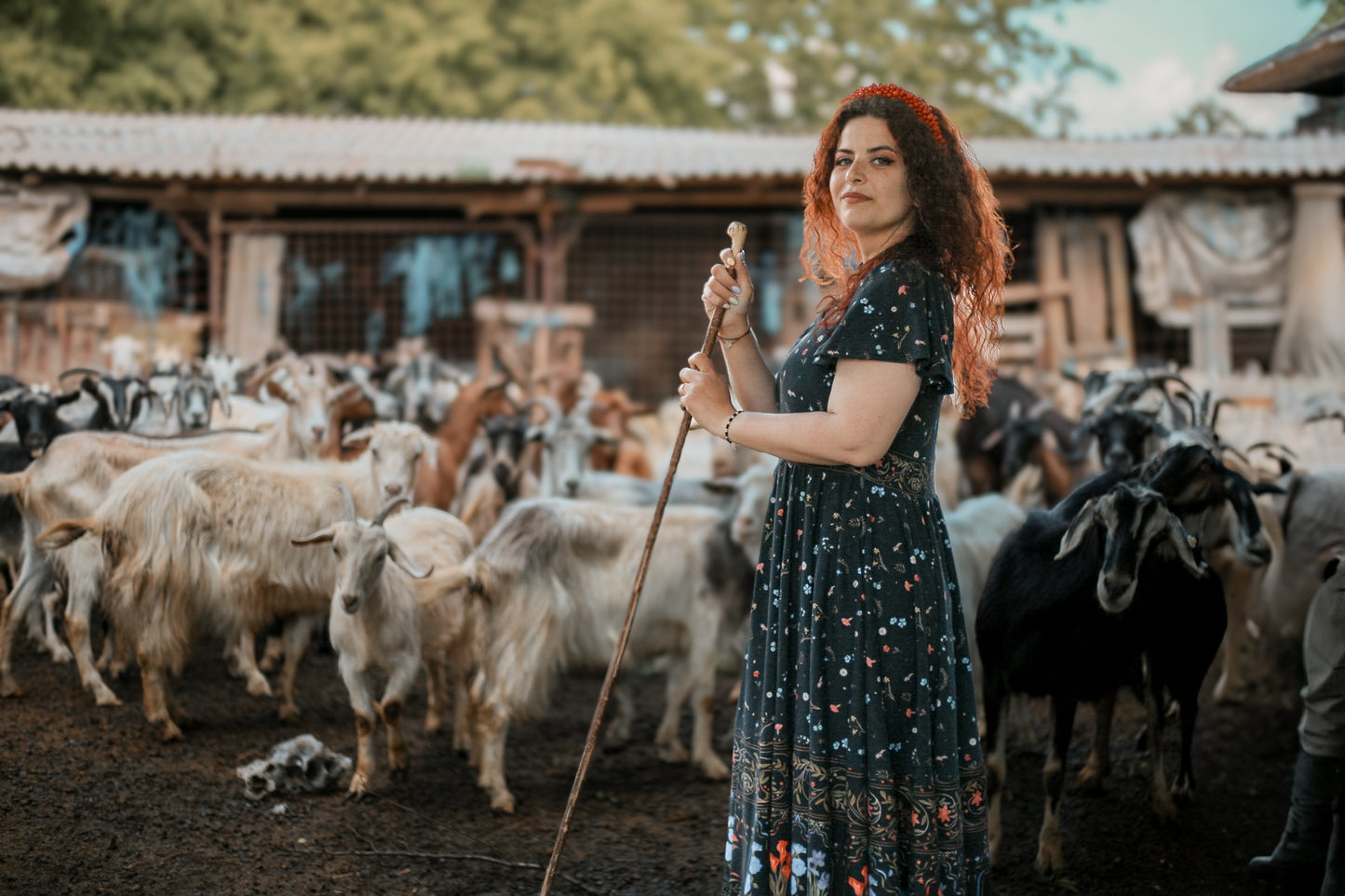 Romanian Rhapsody ~ Faye Dress