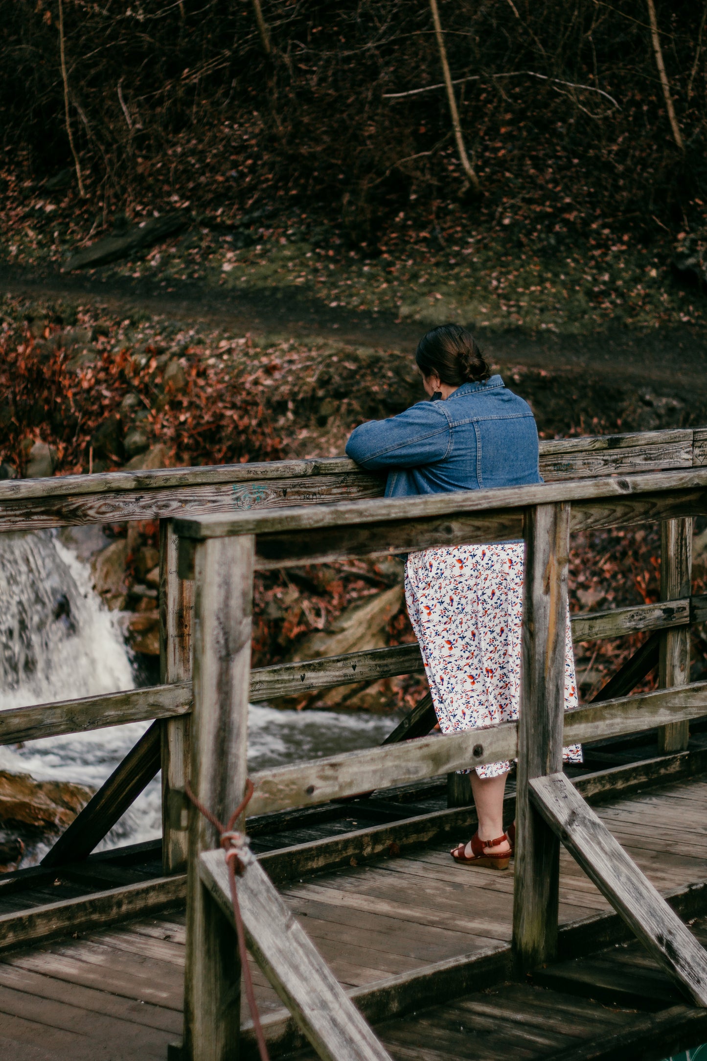 Vintage Sparrow ~ Everyday Dress