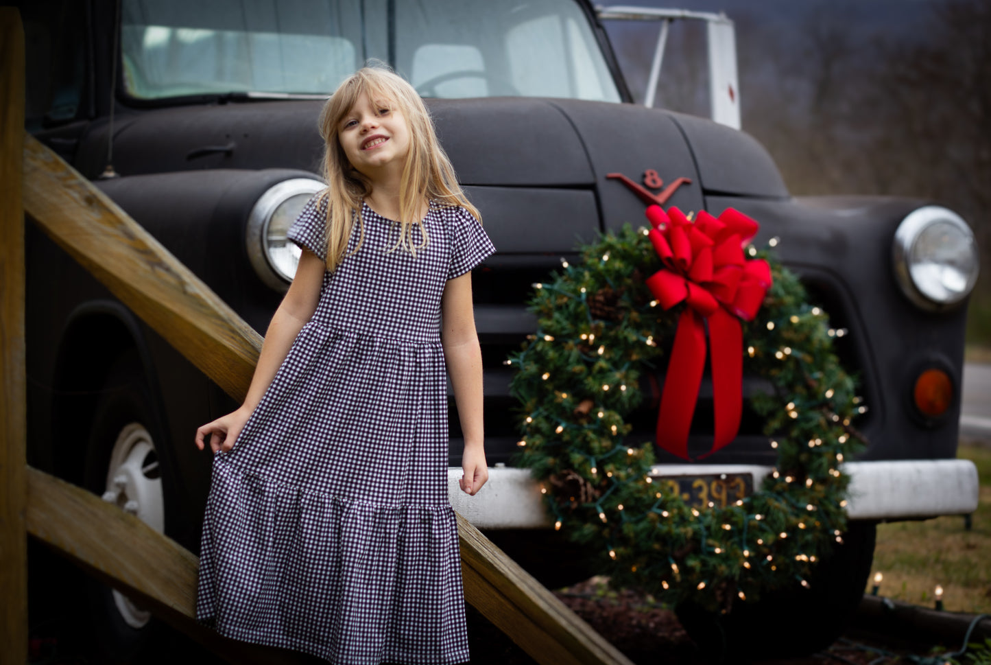 Graphite Gingham ~ Novella Dress