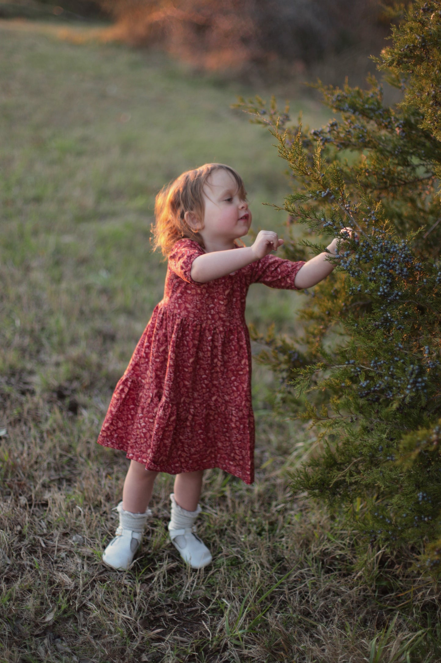 Crimson Ember ~ Novella Dress