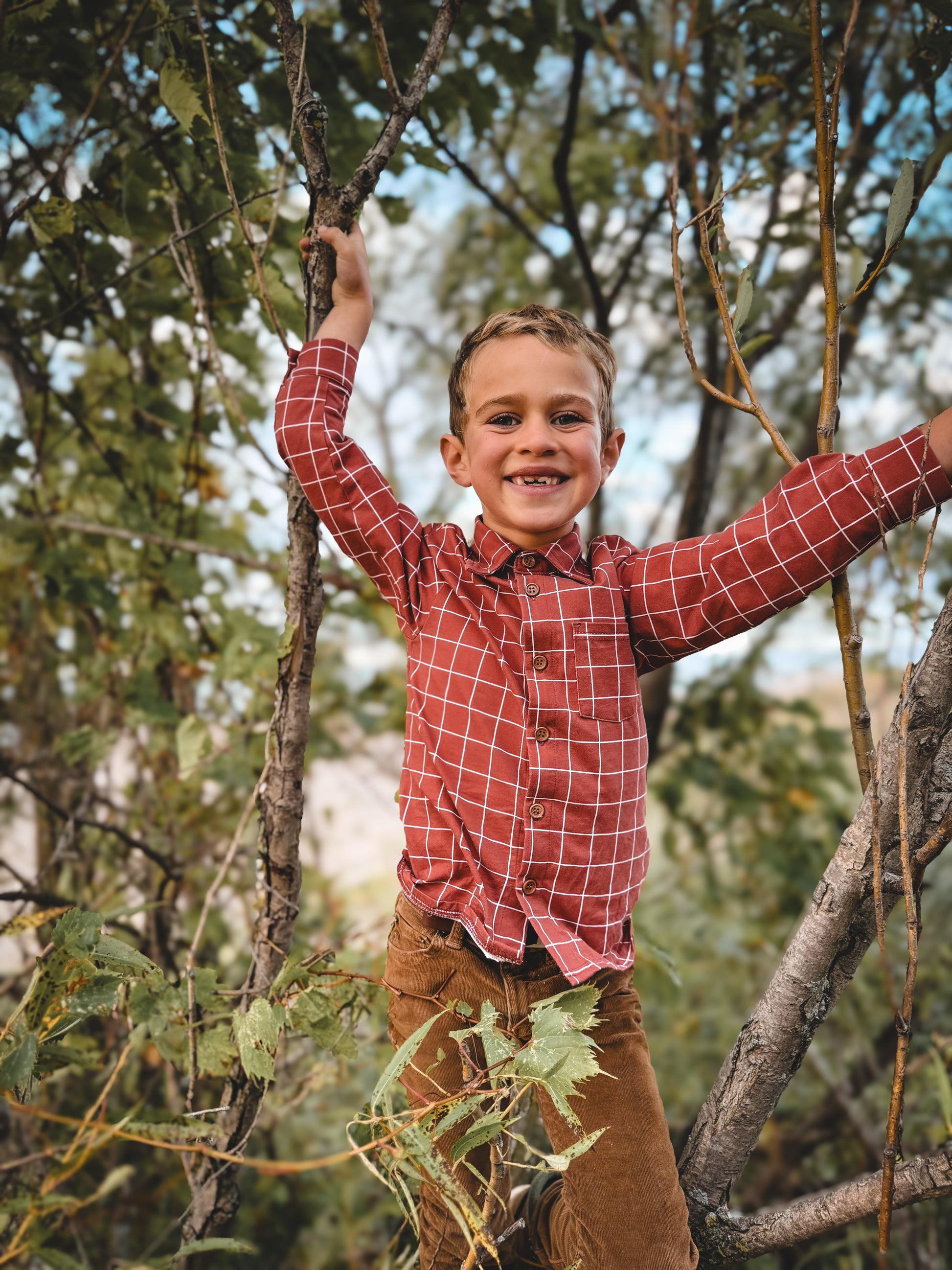 Boy in red plaid climbing tree