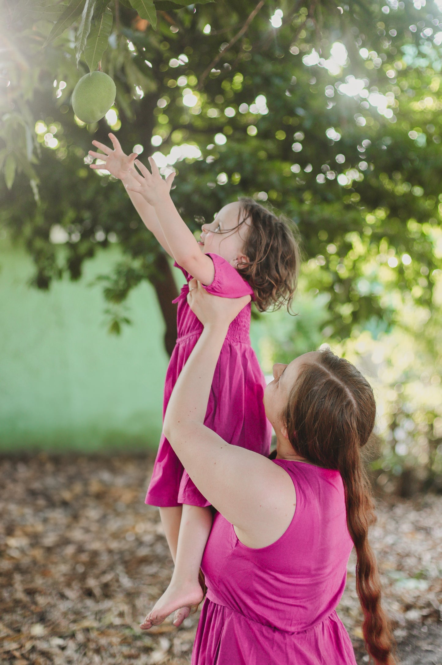 Dahlia ~ Homesteader Dress