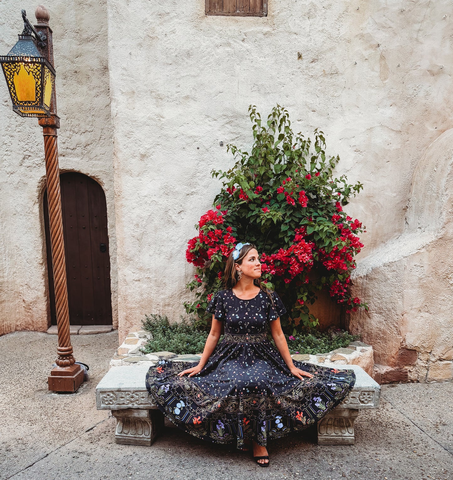 Romanian Rhapsody ~ Faye Dress