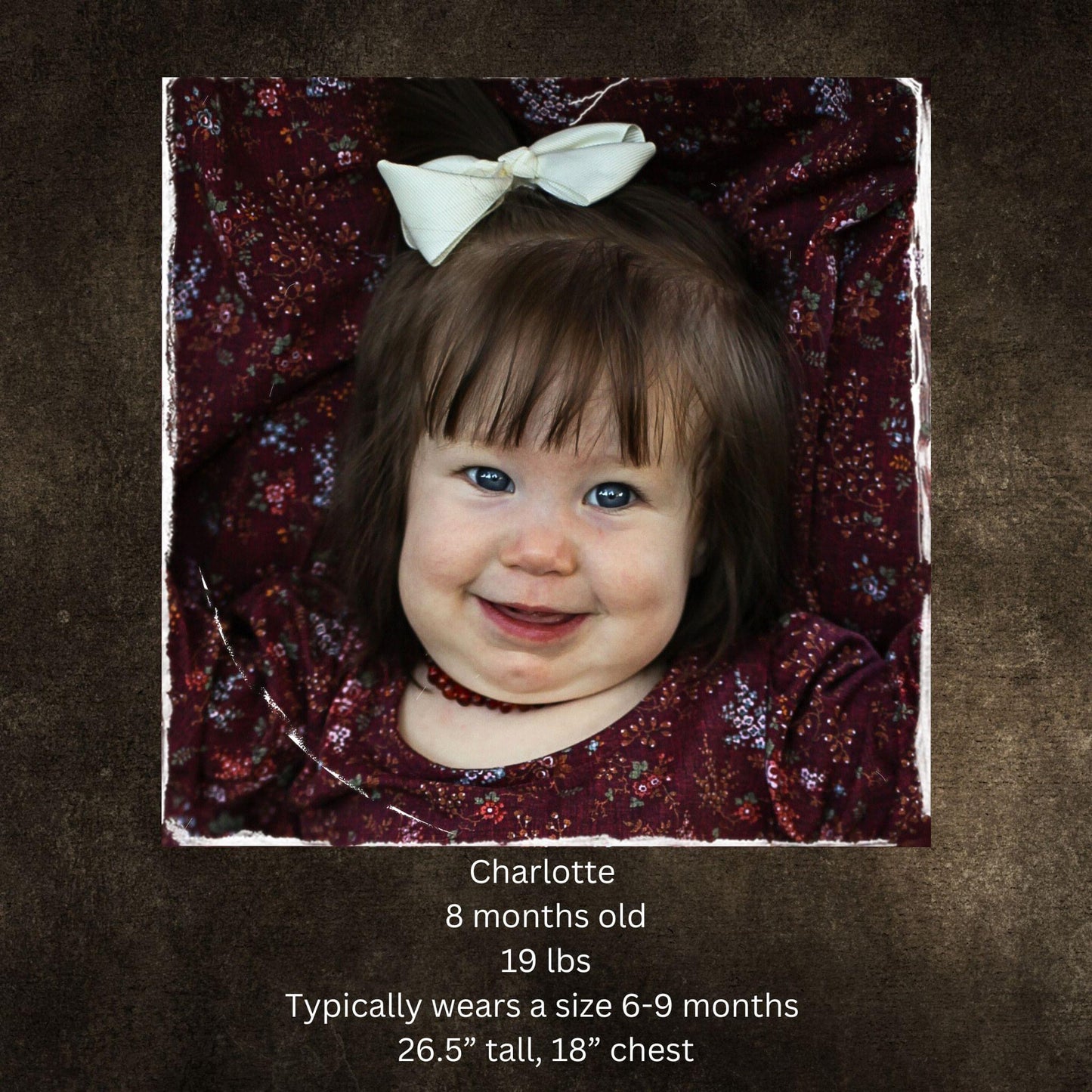 Graphite Gingham ~ Novella Dress