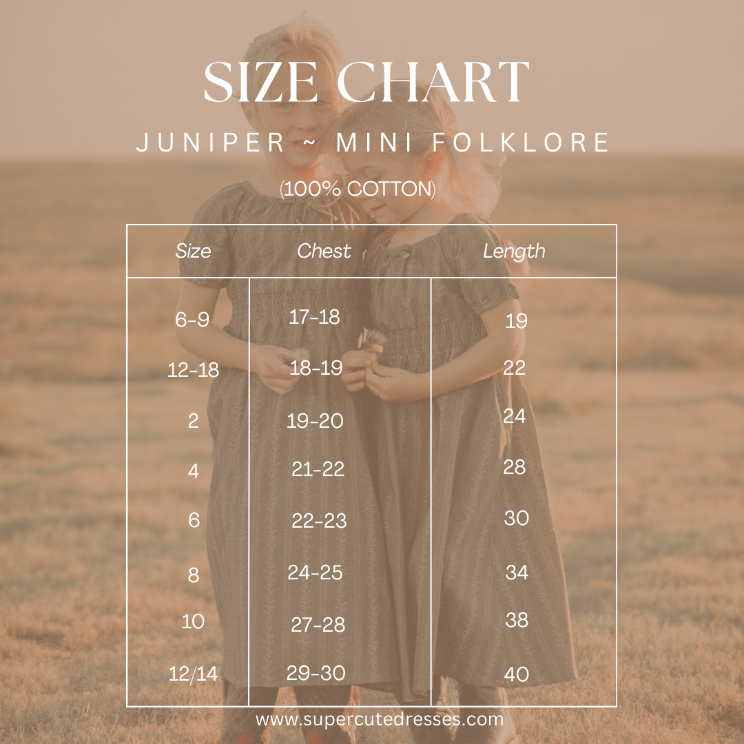 Juniper ~ Mini Folklore Dress