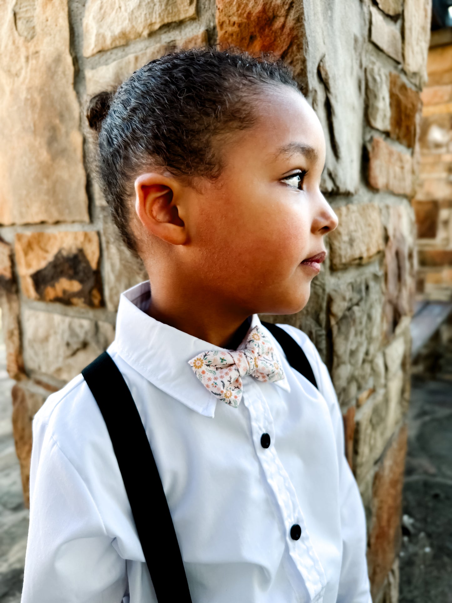 Wistful Waltz ~ Bowties