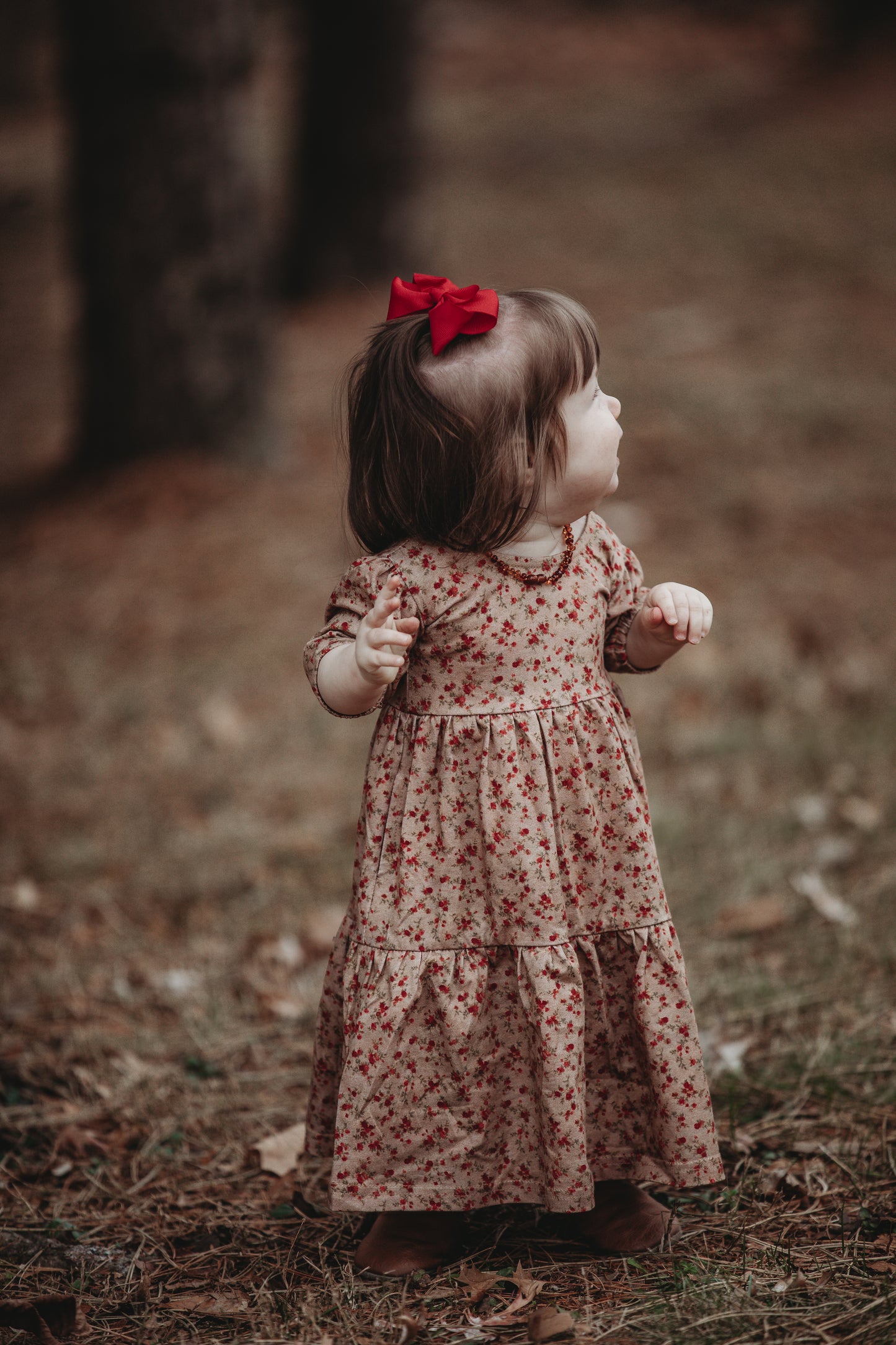 Tearose Tidings ~ Novella Dress