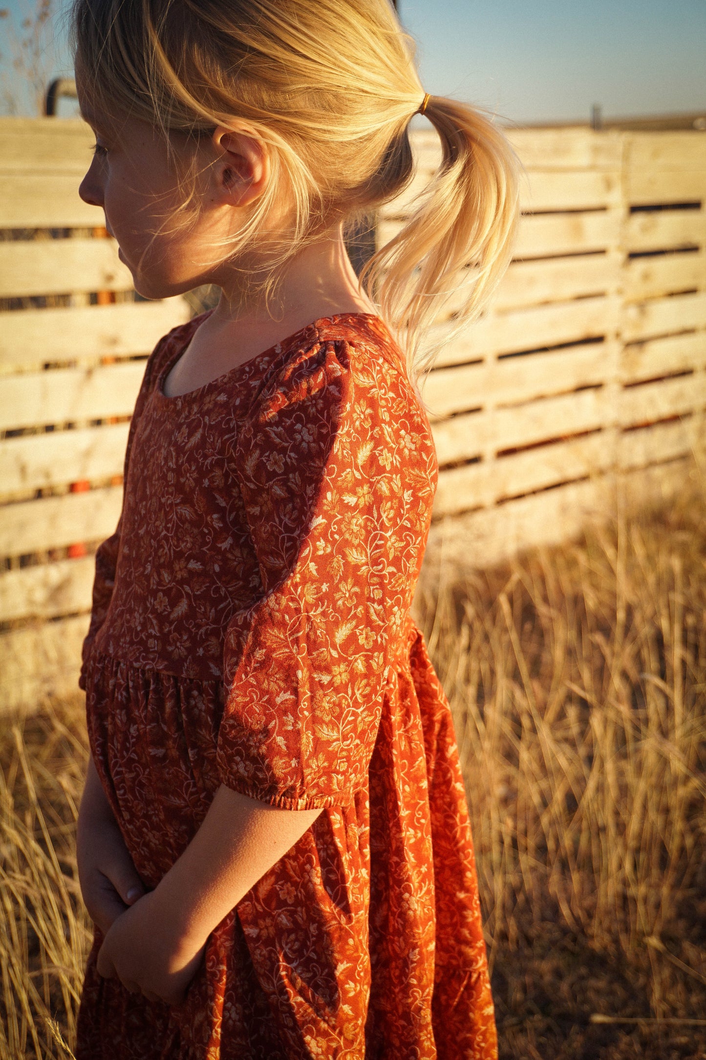 Crimson Ember ~ Novella Dress