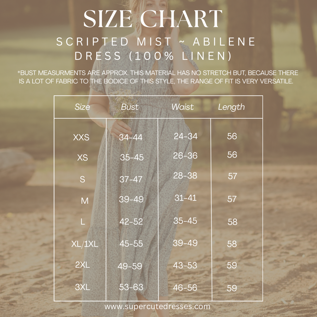 Size chart for a  modest blue nursing dress with a blurred background