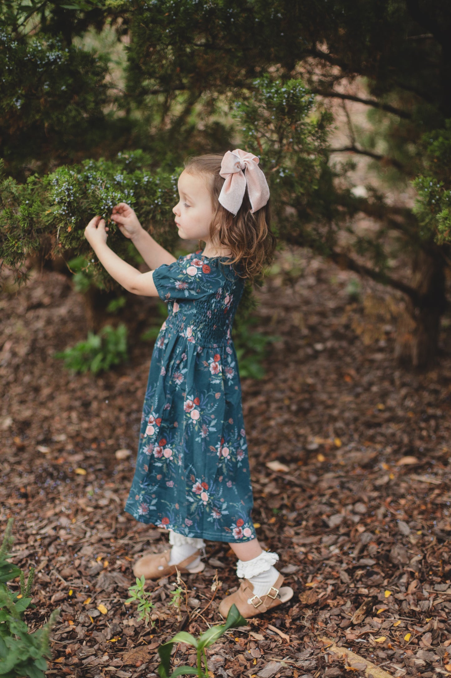 Idlewild ~ Mini Folklore Dress
