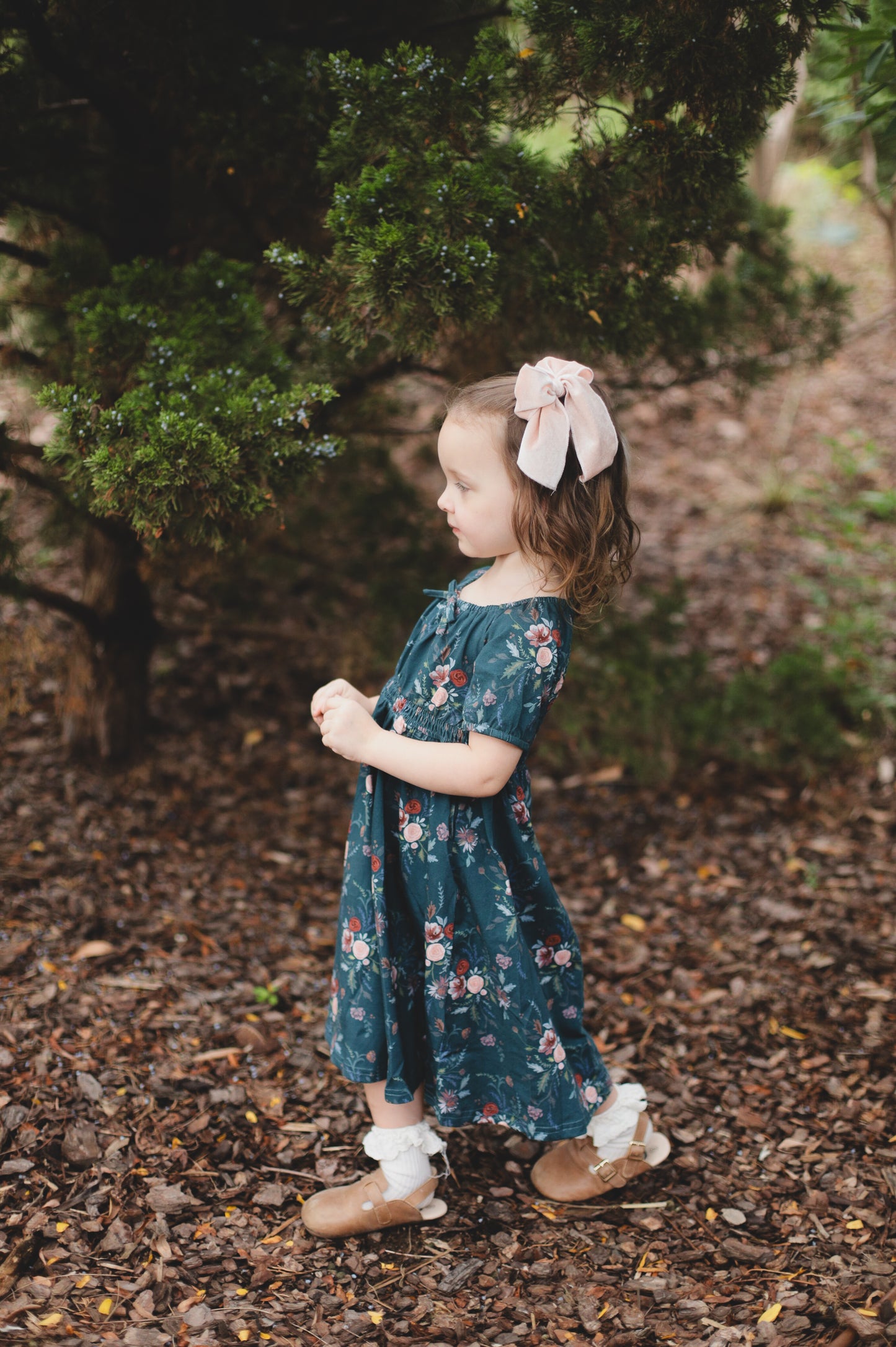Idlewild ~ Mini Folklore Dress