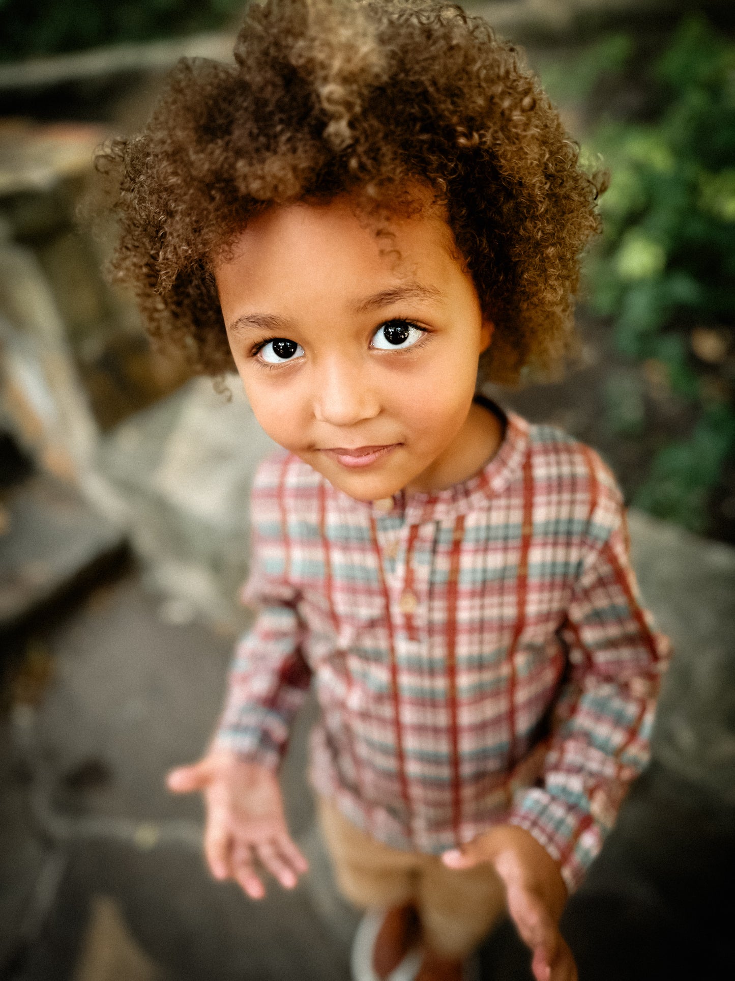 Butterum ~ Lionheart Henley