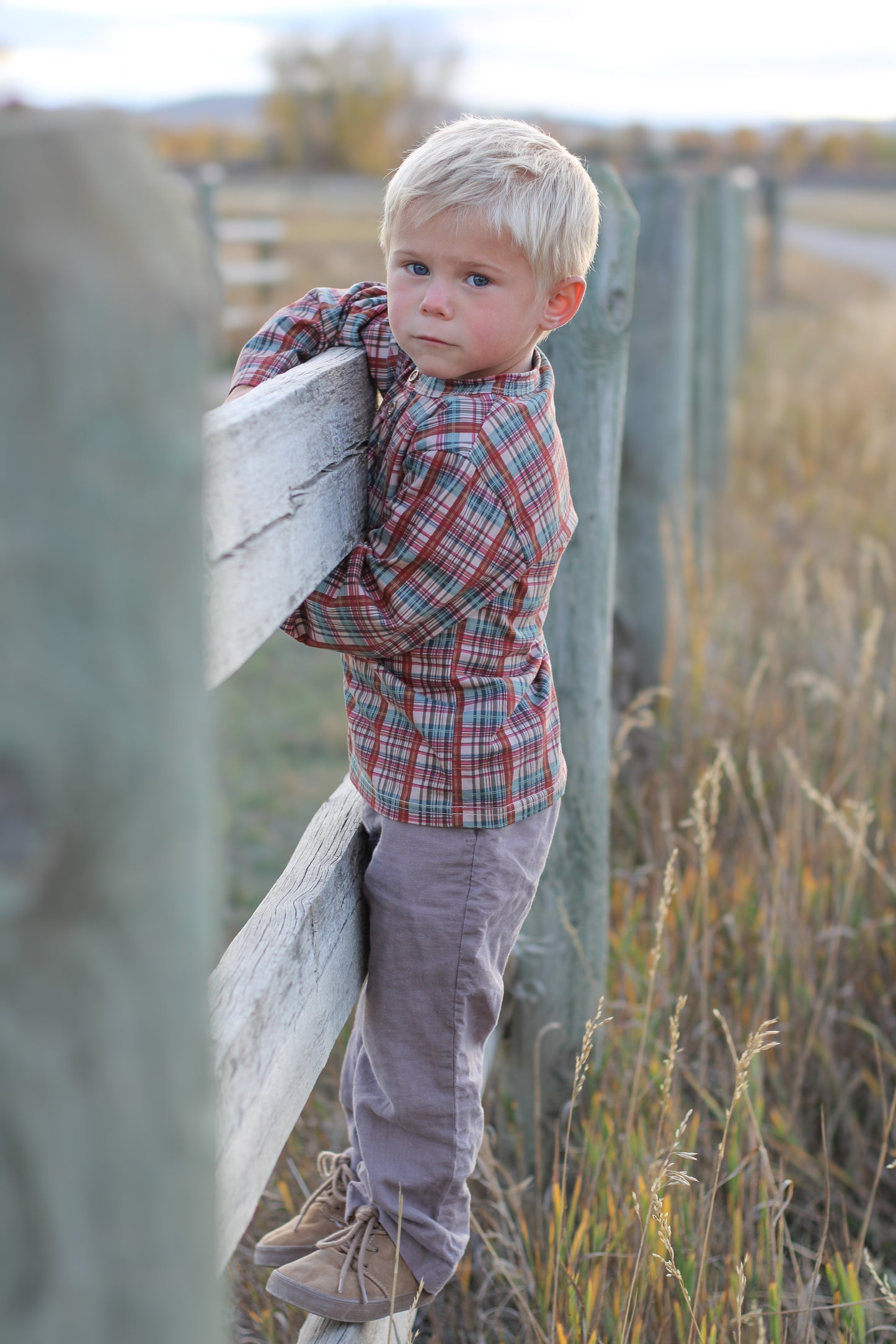 Butterum ~ Lionheart Henley