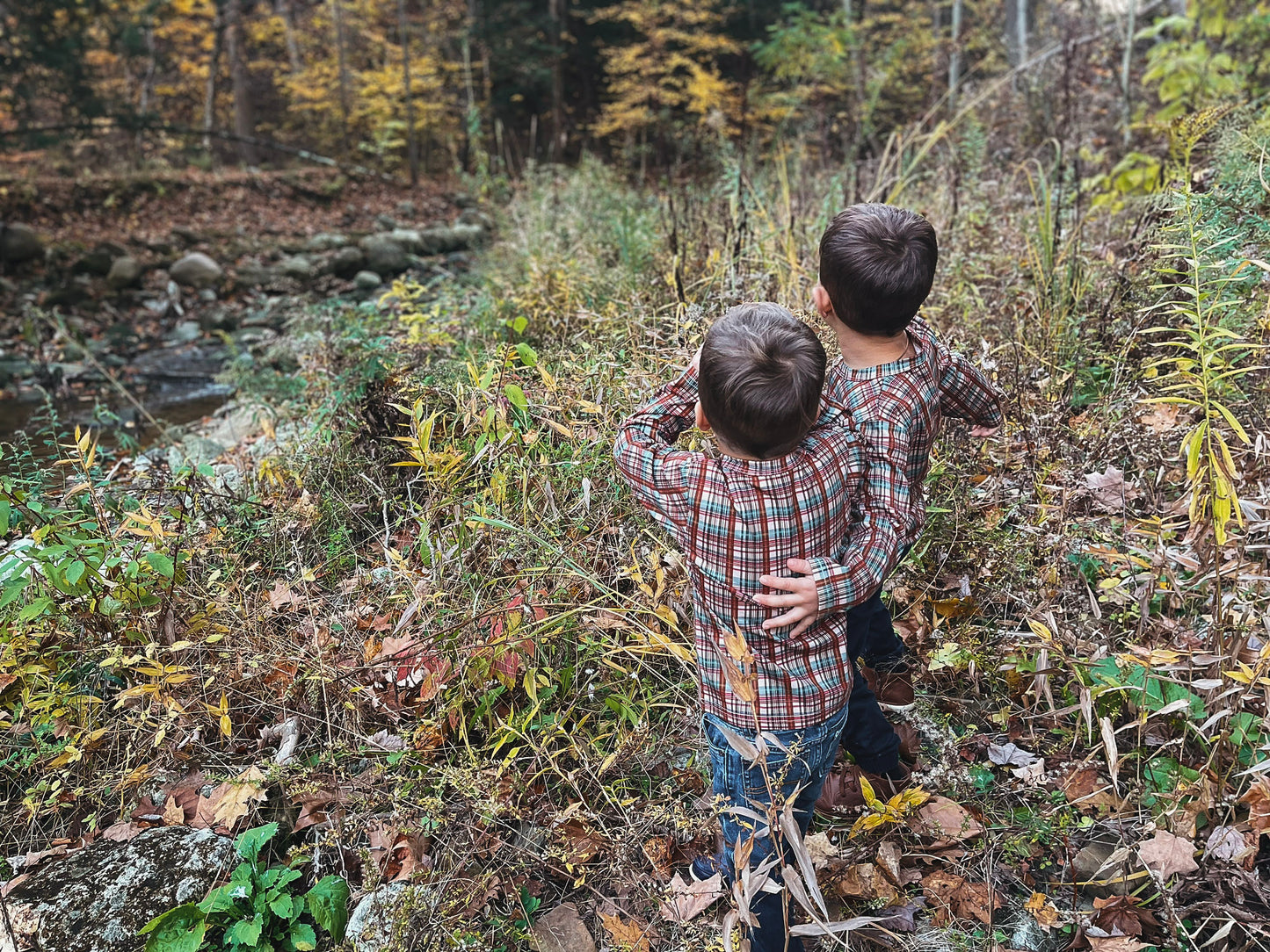 Butterum ~ Lionheart Henley