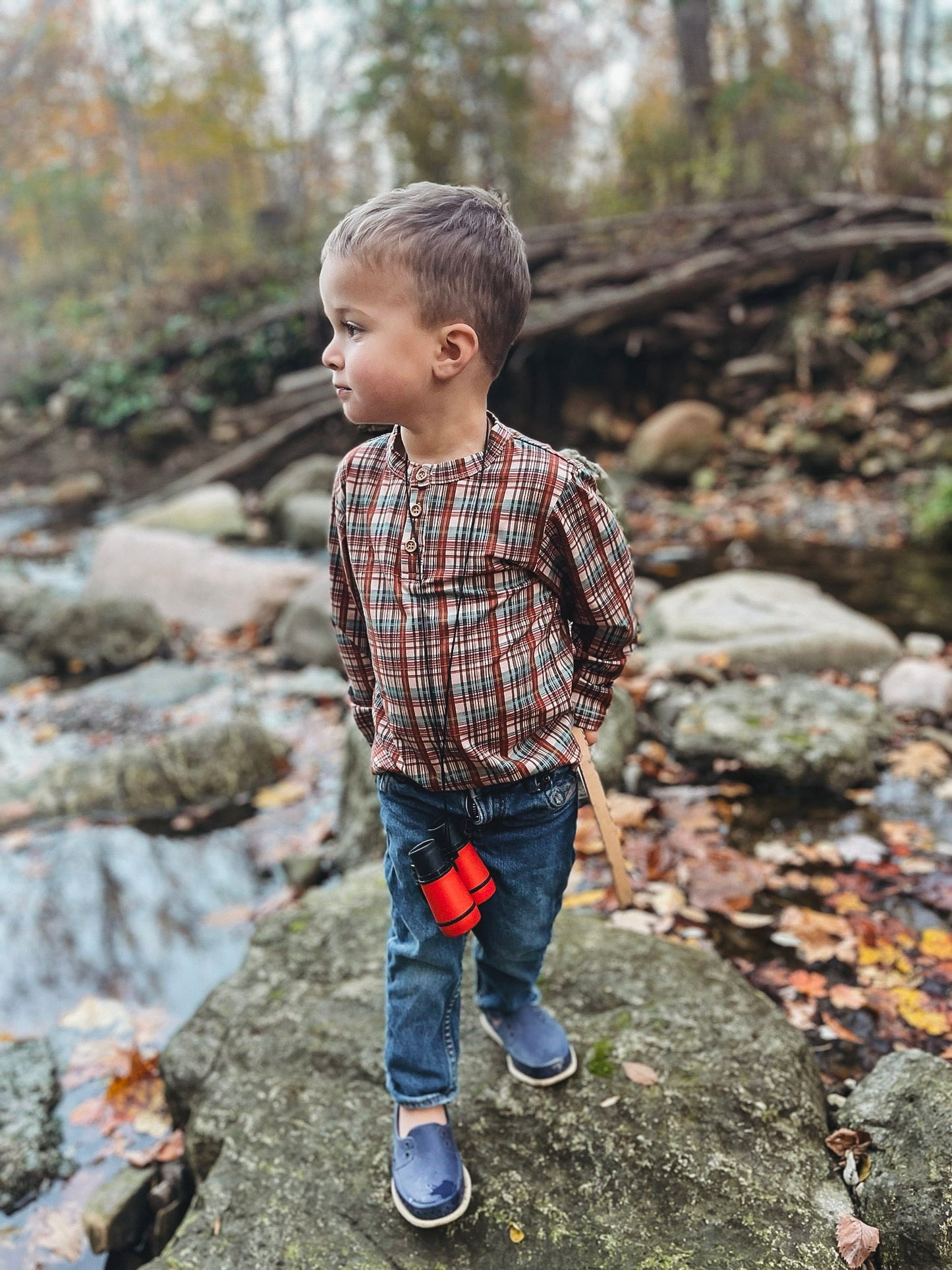 Butterum ~ Lionheart Henley