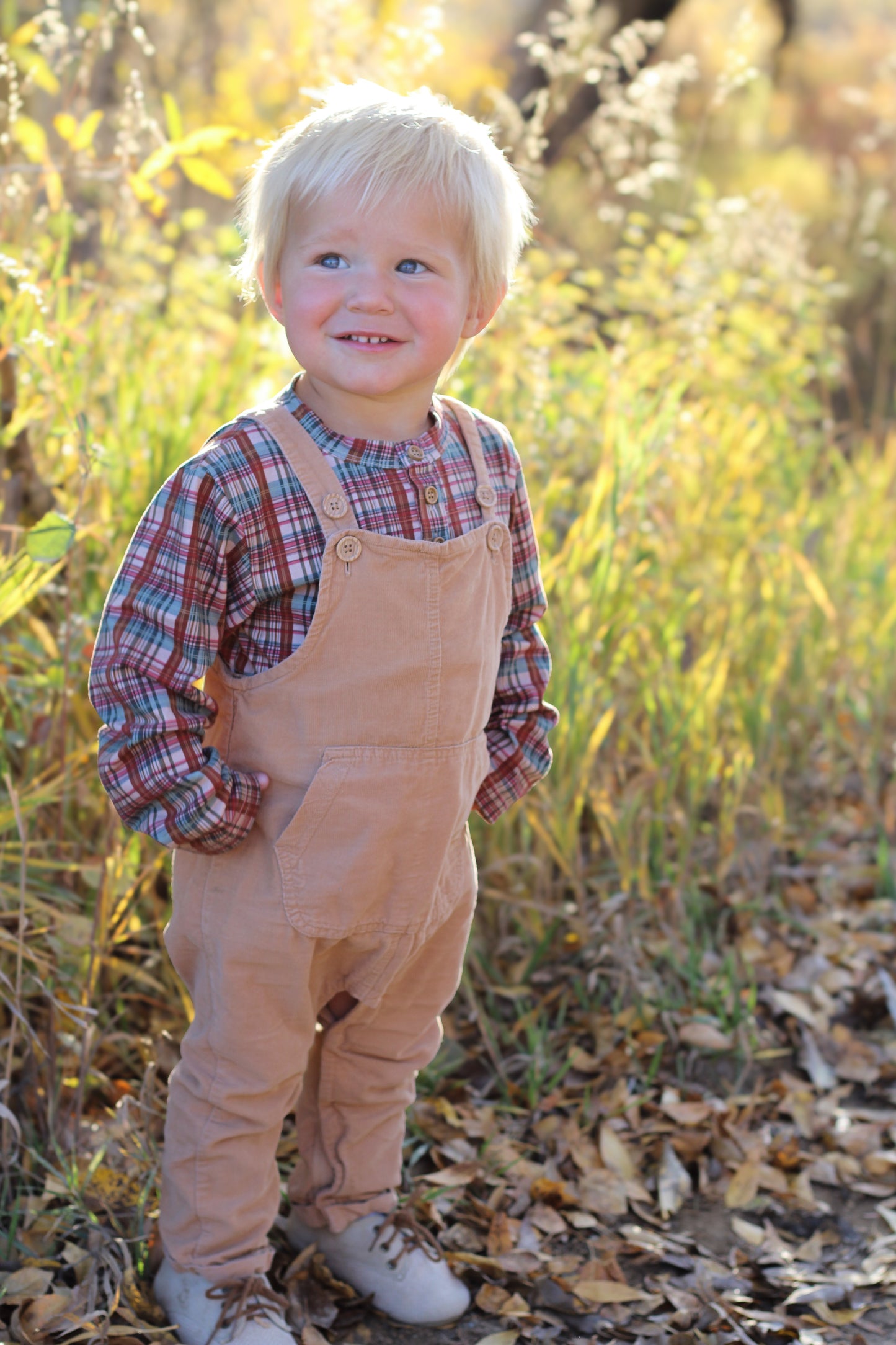 Butterum ~ Lionheart Henley