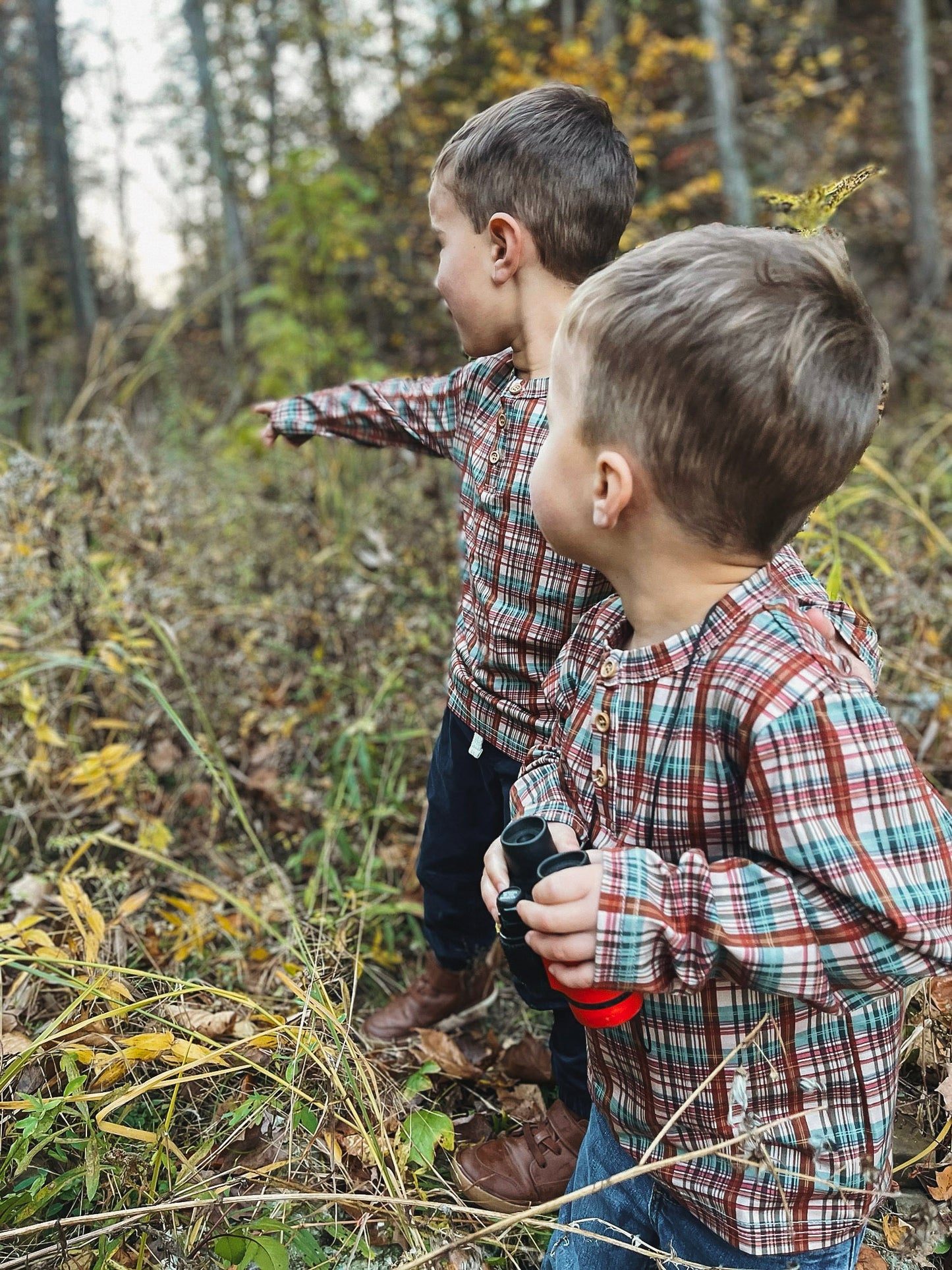 Butterum ~ Lionheart Henley