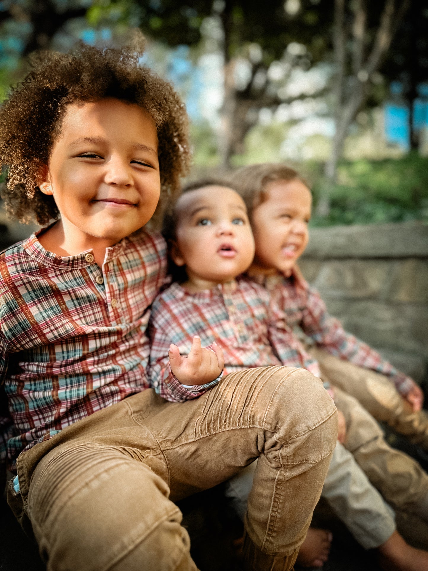 Butterum ~ Lionheart Henley