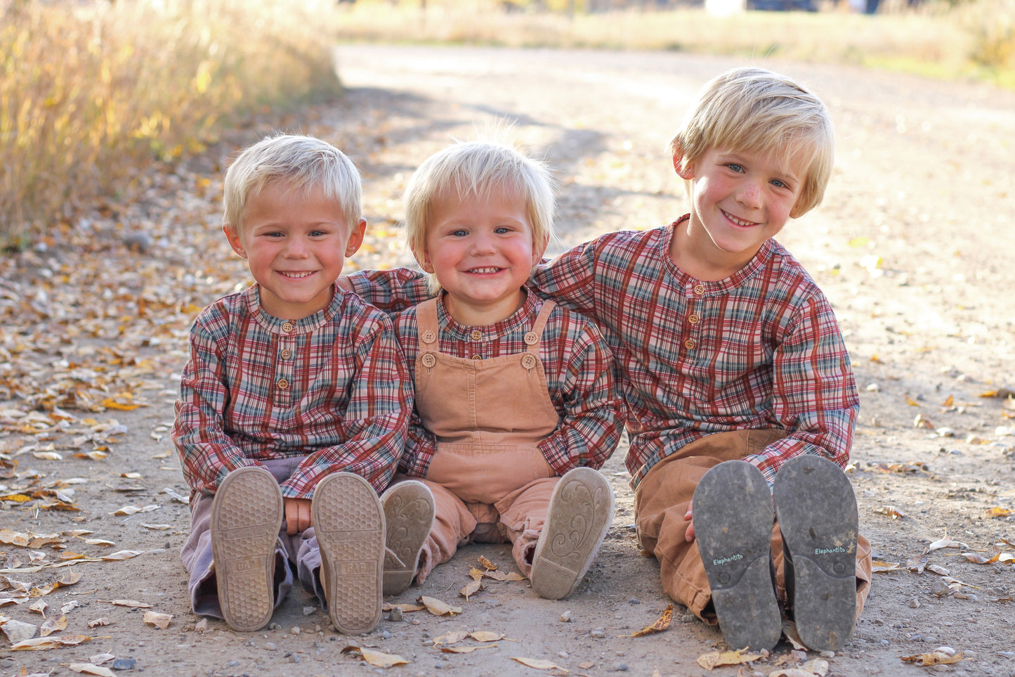 Butterum ~ Lionheart Henley