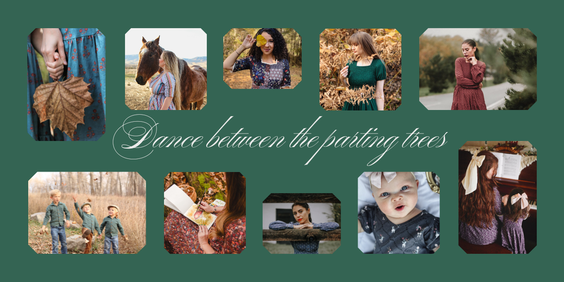 November 2025 Newsletter