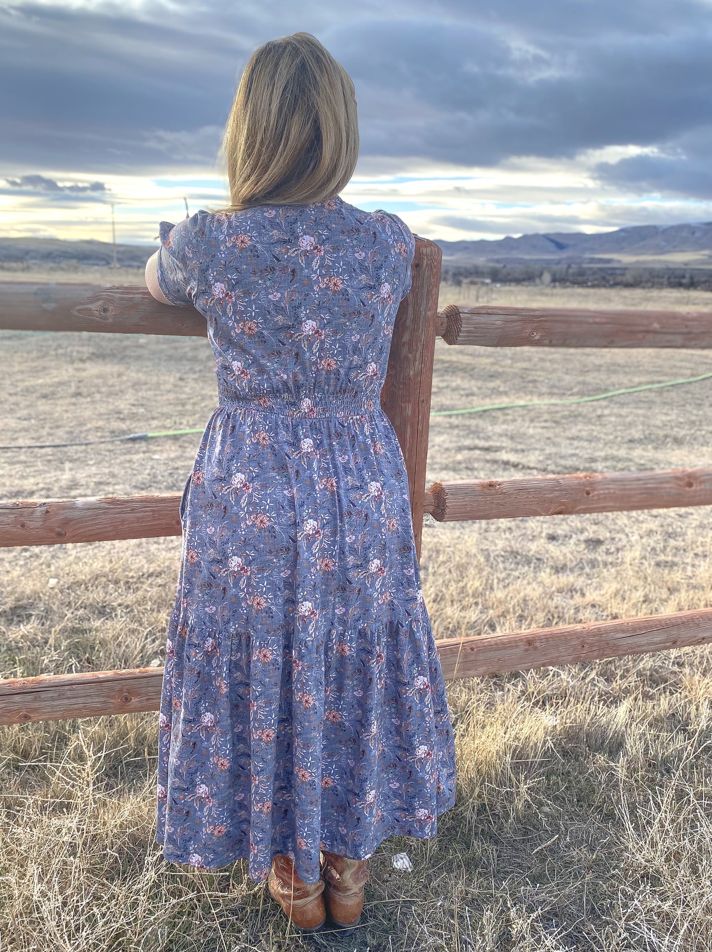 Ingleside ~ Hinterland Dress