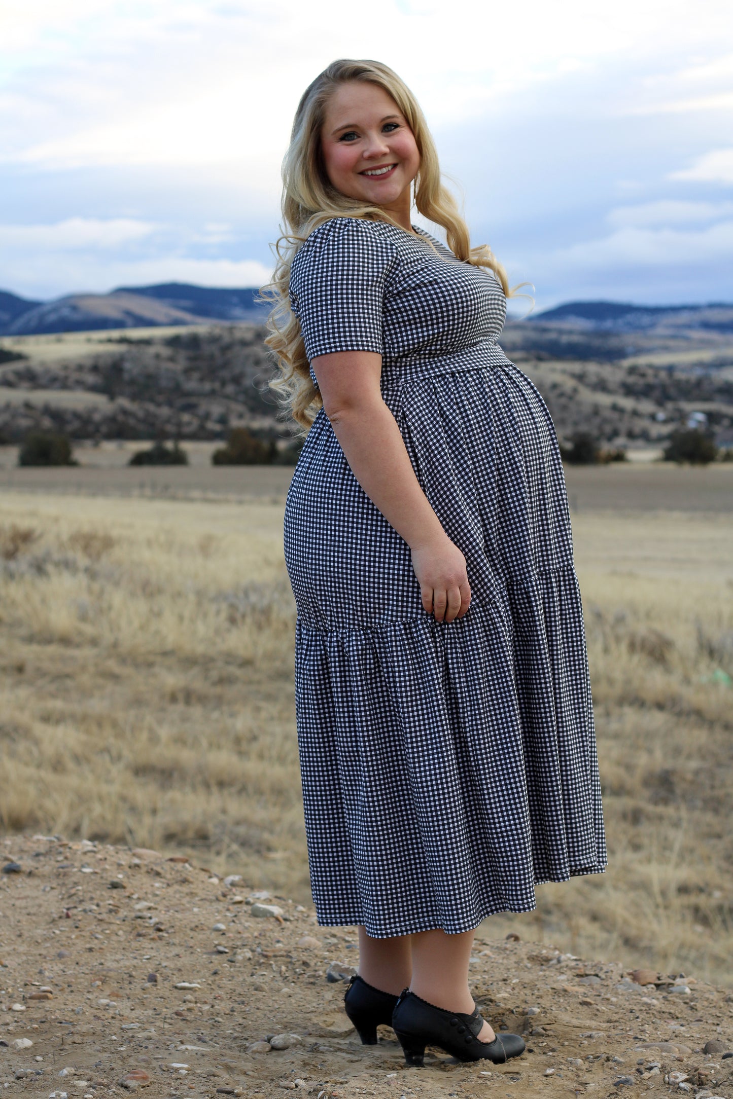 Graphite Gingham ~ Storybook Dress